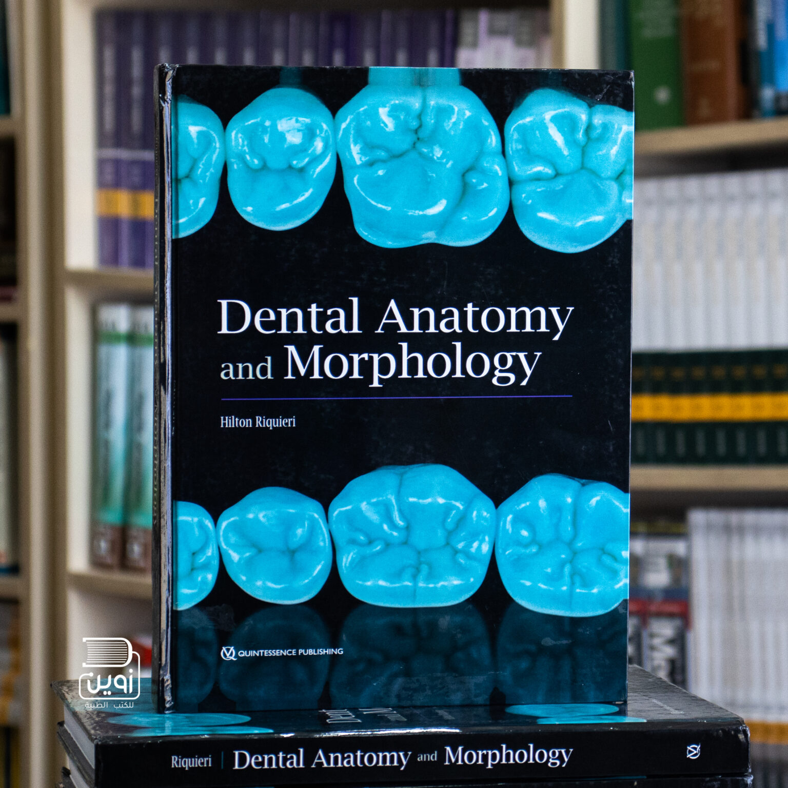 Dental Anatomy and Morphology by Hilton دار زوين لنشر وتوزيع الكتب